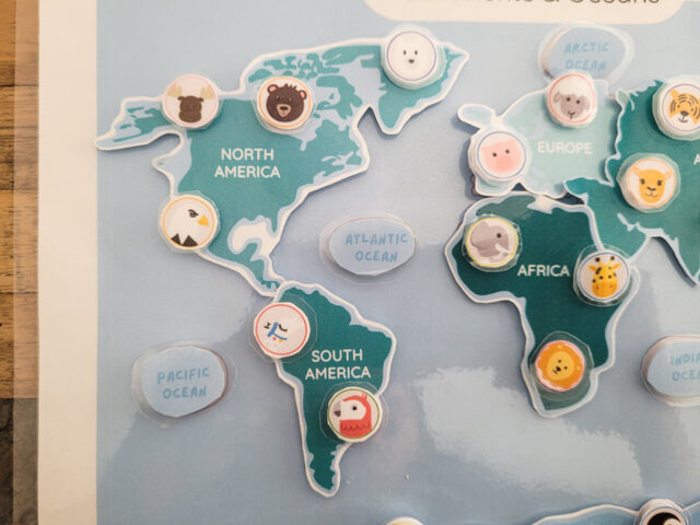 Continents and Oceans Puzzle - Image 6