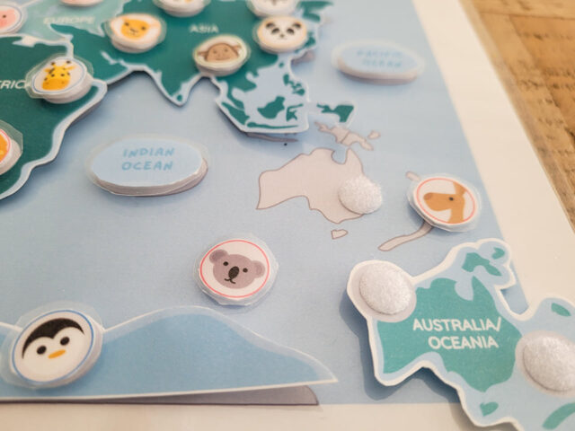 Continents and Oceans Puzzle - Image 5