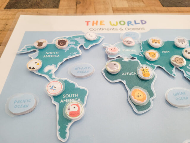 Continents and Oceans Puzzle - Image 4