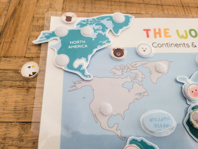 Continents and Oceans Puzzle - Image 3