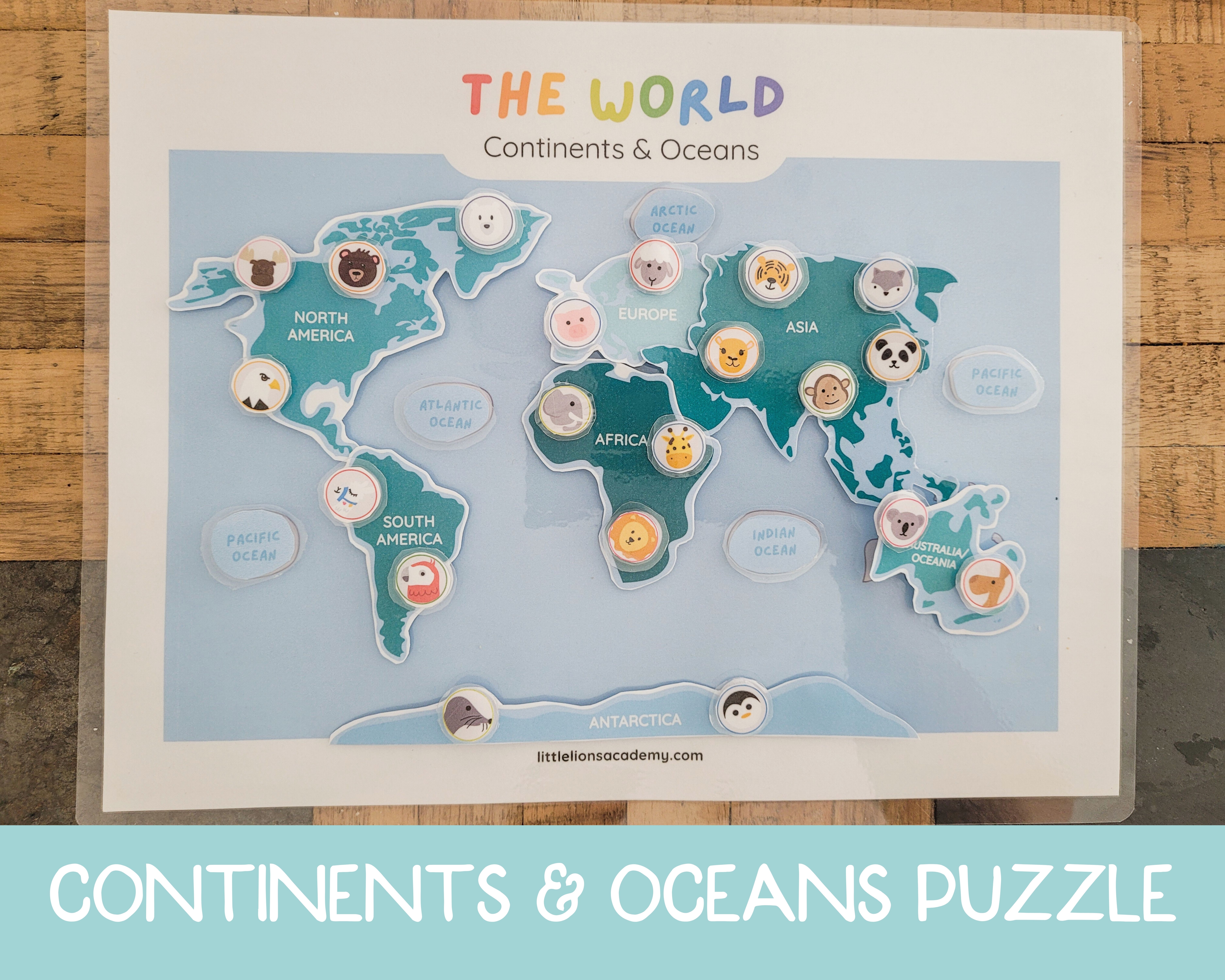 Continents and Oceans Puzzle