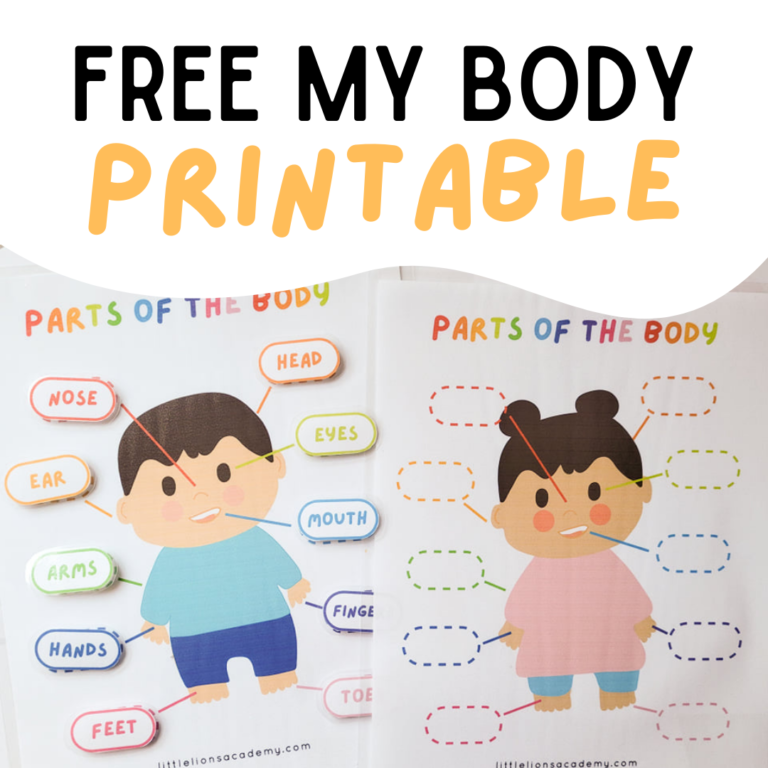 My Body Parts Printable